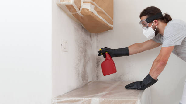 Professional Bathroom Mold Removal technician working in Manistee, MI